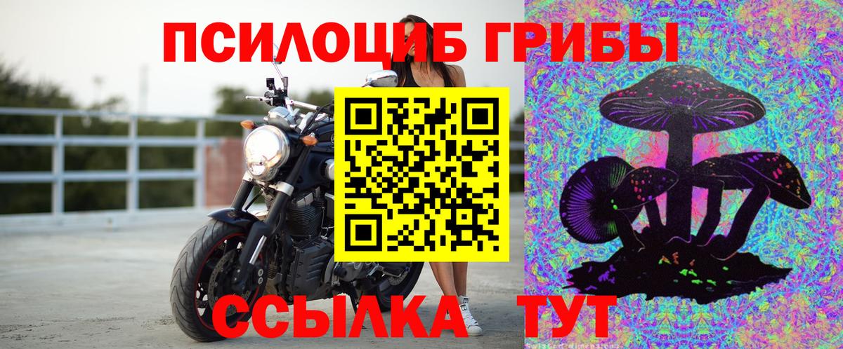 Псилоцибиновые грибы GOLDEN TEACHER Клин